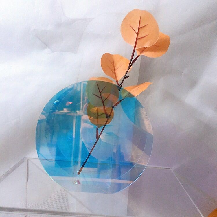 Transparent Acrylic Vase for Home Decor
