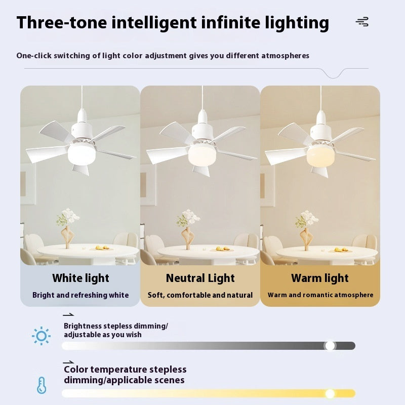 Dimmable Luxury Fan 3 coluur temperature and brightness