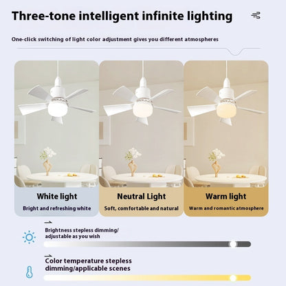 Dimmable Luxury Fan 3 coluur temperature and brightness