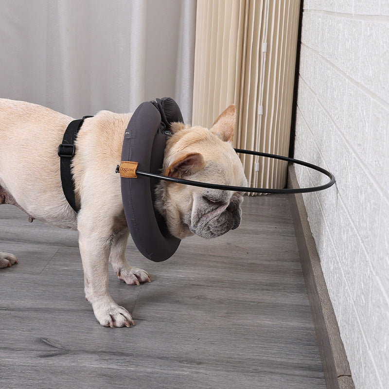 Anti-Collision Pet Collar for Blind and Visually Impaired Dogs stopping the dog from wall