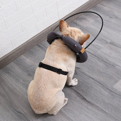 Anti - Collision Pet Collar for Blind and Visually Impaired DogsDog ApparelNormanharvey