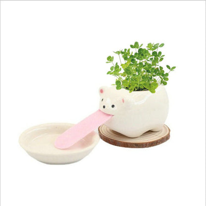 Automatic Watering Decorative Flower Pot - Desk Greenery CompanionPots & PlantersNormanharvey