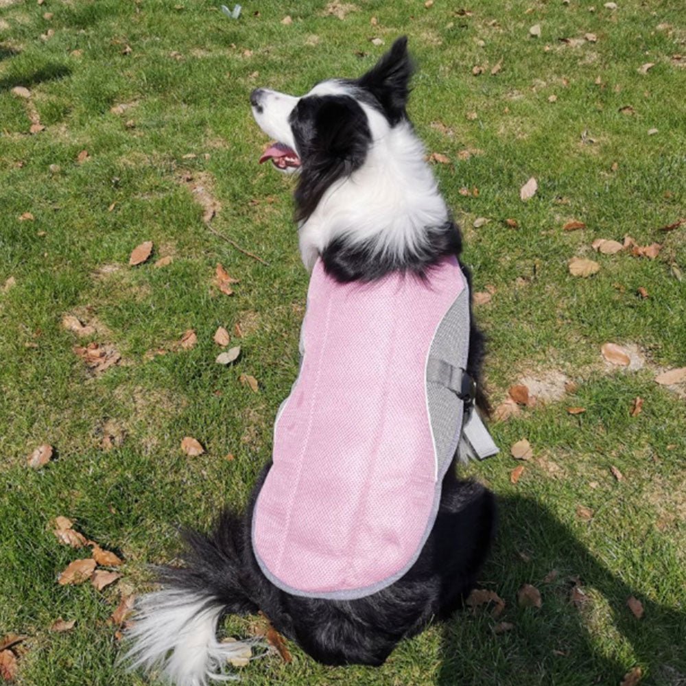 ChillPup Summer Dog Cooling Vest: Stay Cool in Style and Beat the Heat!Dog ApparelNormanharvey