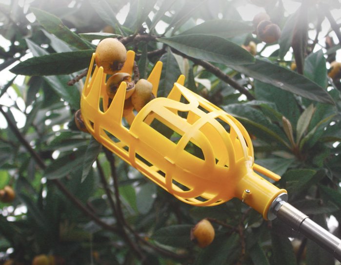 Durable Fruit Picker Tool - Metal Fruit Picker for Efficient Harvesting in Gardens and OrchardsGardening Tool HeadsNormanharvey