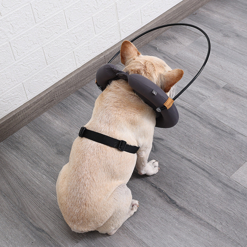 Anti-Collision Pet Collar for Blind and Visually Impaired Dogs dog sitting