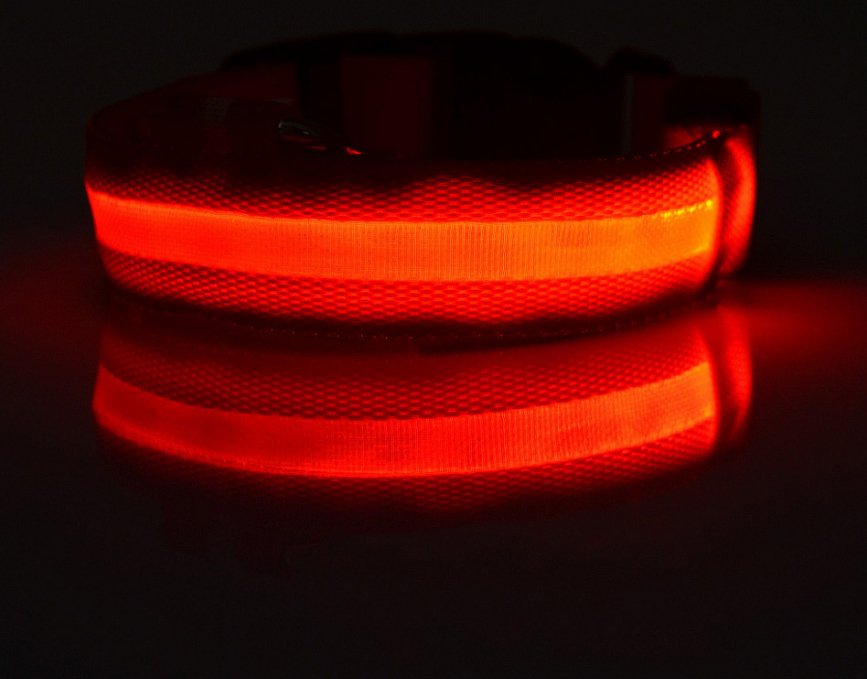 GlowPup™ LED Dog CollarDog ApparelNormanharvey