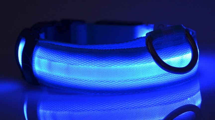 GlowPup™ LED Dog CollarDog ApparelNormanharvey