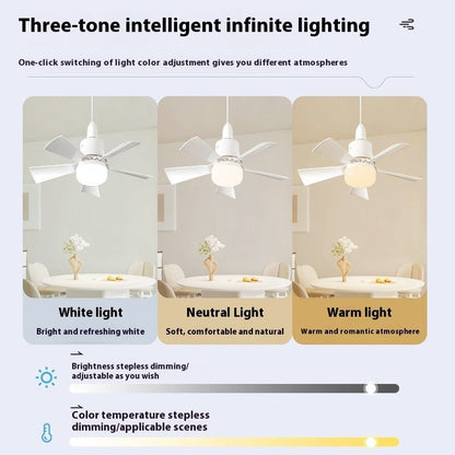 ModernLux Fan: The Dimmable Luxury Fan for Every RoomFansNormanharvey