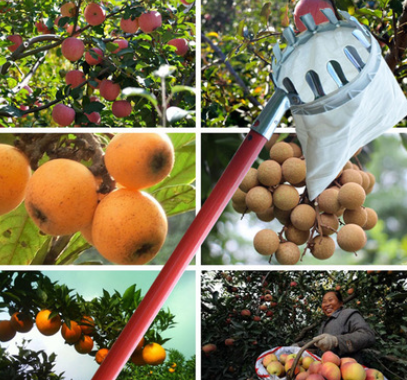 Efficient Fruit Picker for Park and Home Applications