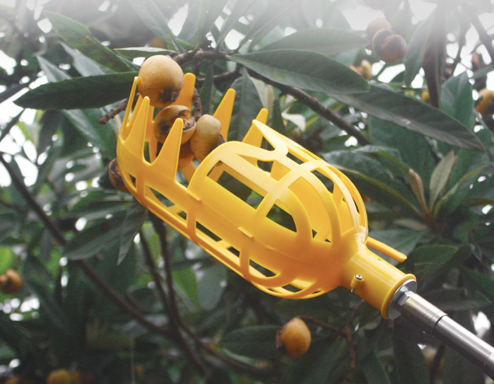 Sturdy Fruit Picker with Large Capacity for Various Fruits